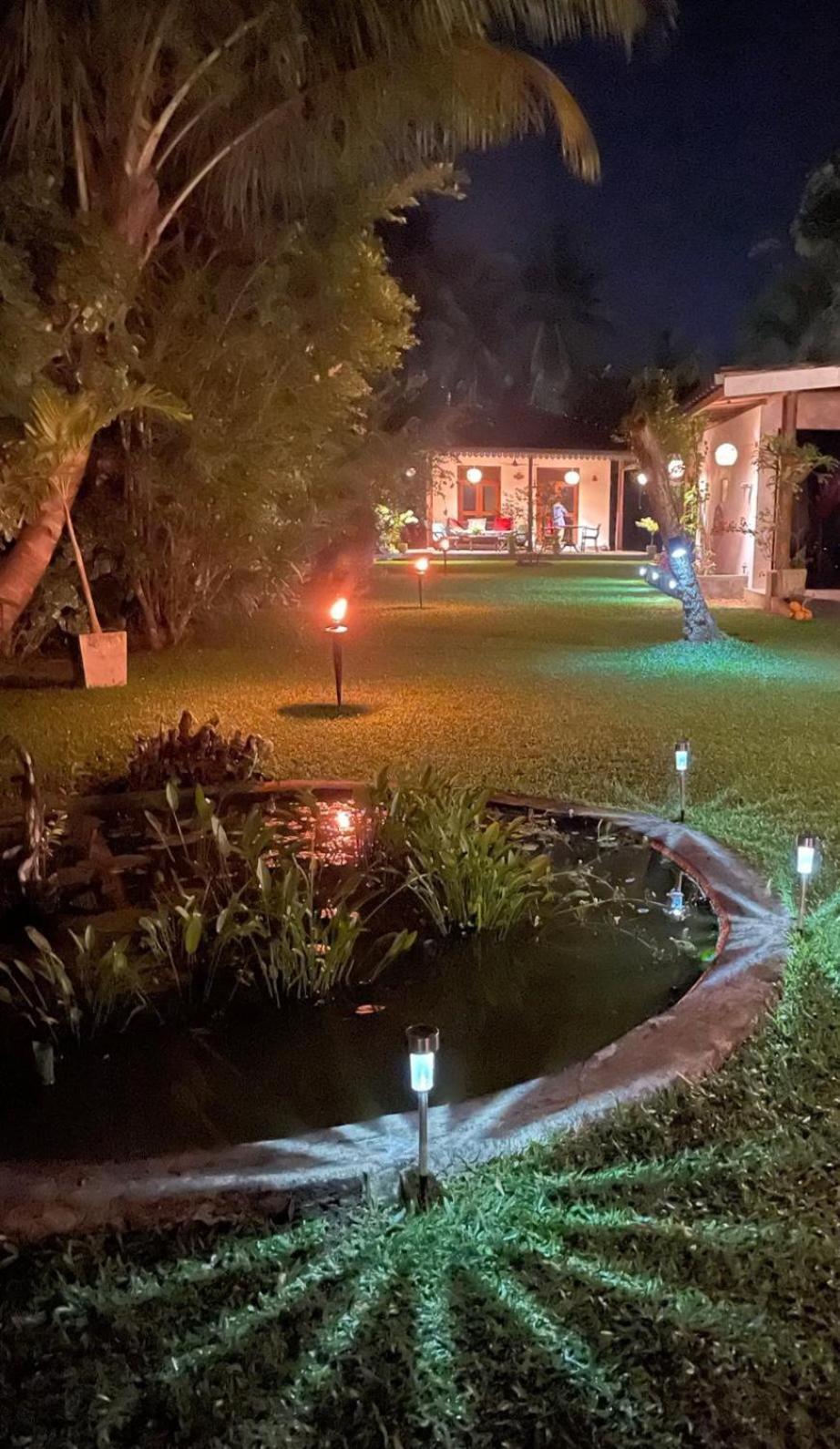 Lilly House Bed & Breakfast อูนาวาตูนา ภายนอก รูปภาพ