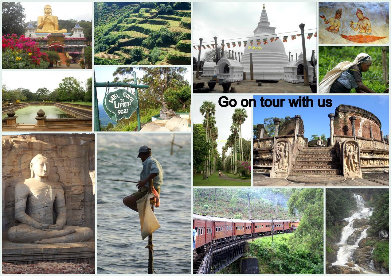 Lilly House Bed & Breakfast อูนาวาตูนา ภายนอก รูปภาพ