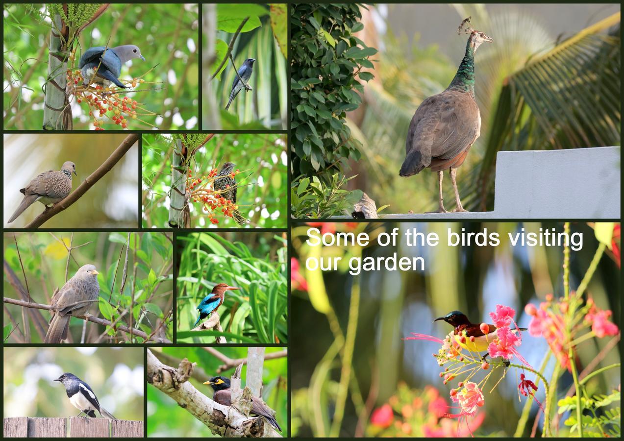 Lilly House Bed & Breakfast อูนาวาตูนา ภายนอก รูปภาพ