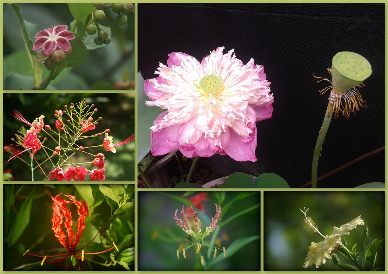 Lilly House Bed & Breakfast อูนาวาตูนา ภายนอก รูปภาพ